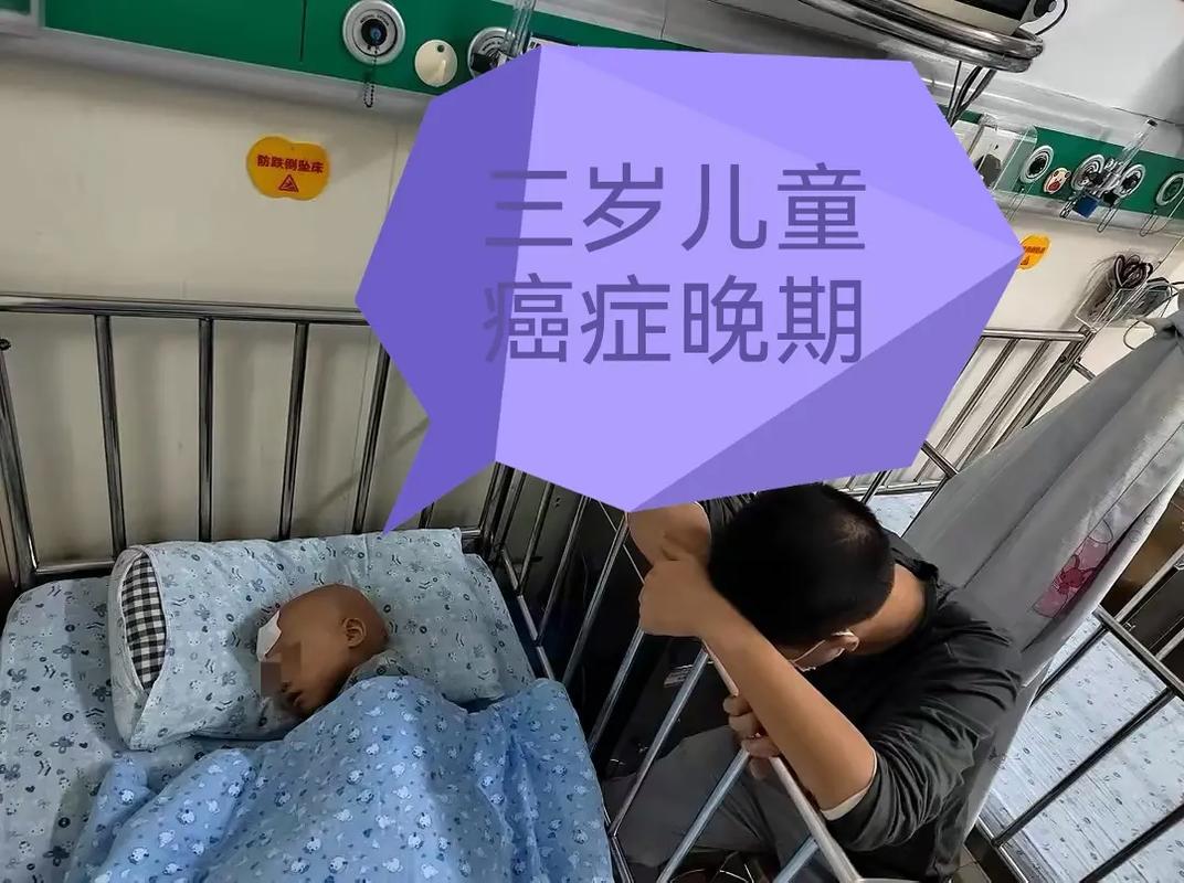 代生男孩包成功多少费用-代生男孩包成功费用大揭秘