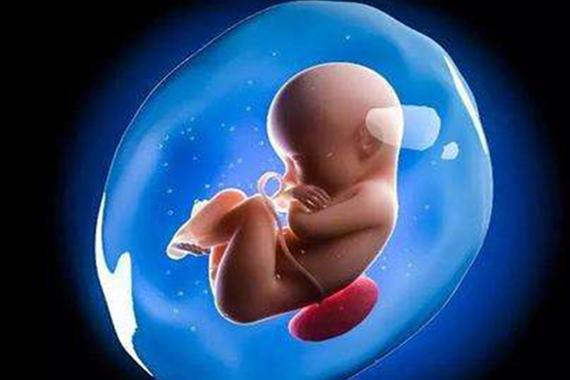 深圳供卵试管【深圳供卵试管中心:助您实现生育梦想】