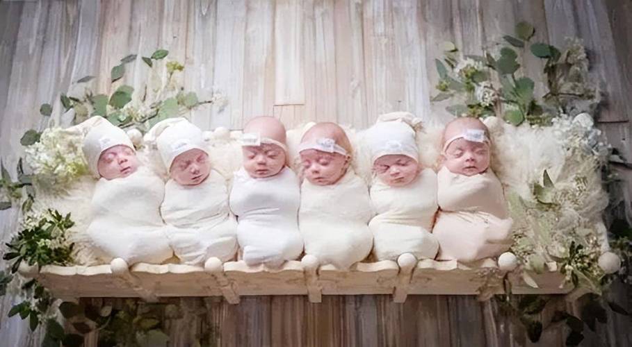 代生了双胞胎_双喜临门：代生双胞胎的故事