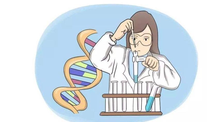 代生儿子费用【代生儿子费用：选择合适的方式来实现您的梦想】