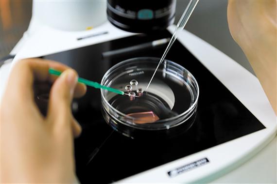 深圳试管供卵服务【深圳试管供卵服务中心】