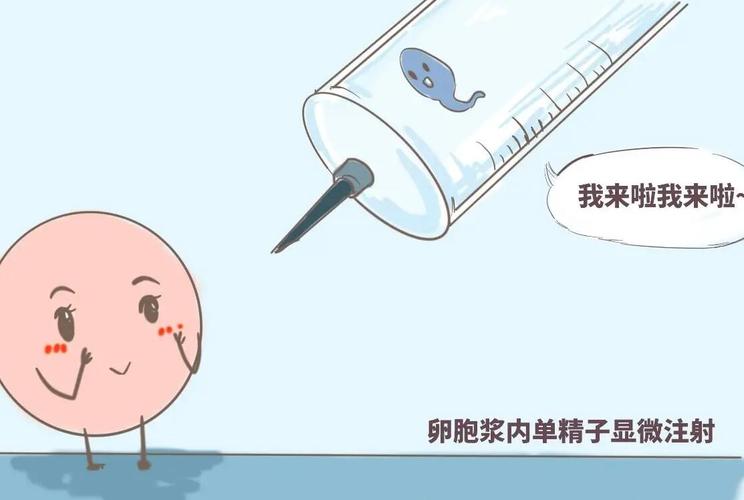 代生男孩过程(男孩代生：一个家庭的选择与挑战)