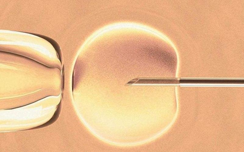 深圳试管供卵男孩_深圳试管供卵男孩:新生命的奇迹