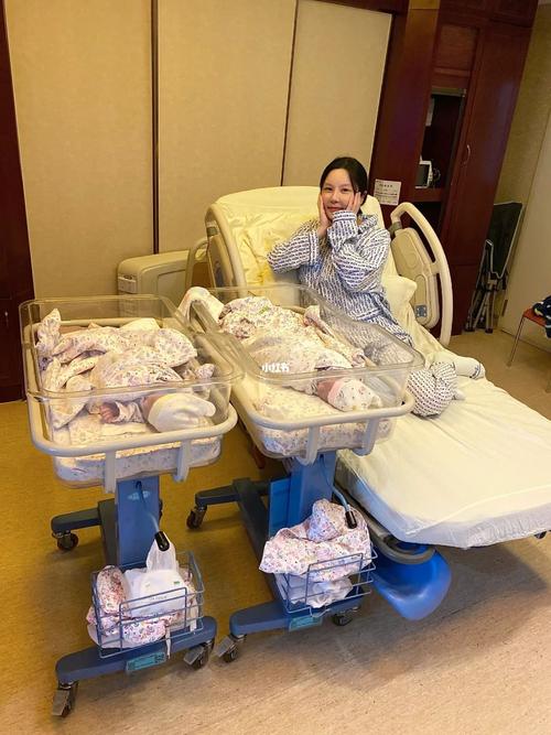 代生了双胞胎公司-代生了双胞胎公司：双倍的爱与希望