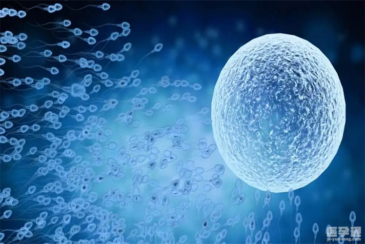 深圳试管供卵中心【深圳试管供卵中心：助您实现生育梦想】