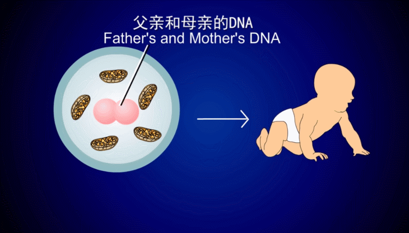 深圳供卵试管男孩-深圳供卵试管男孩:成长故事分享