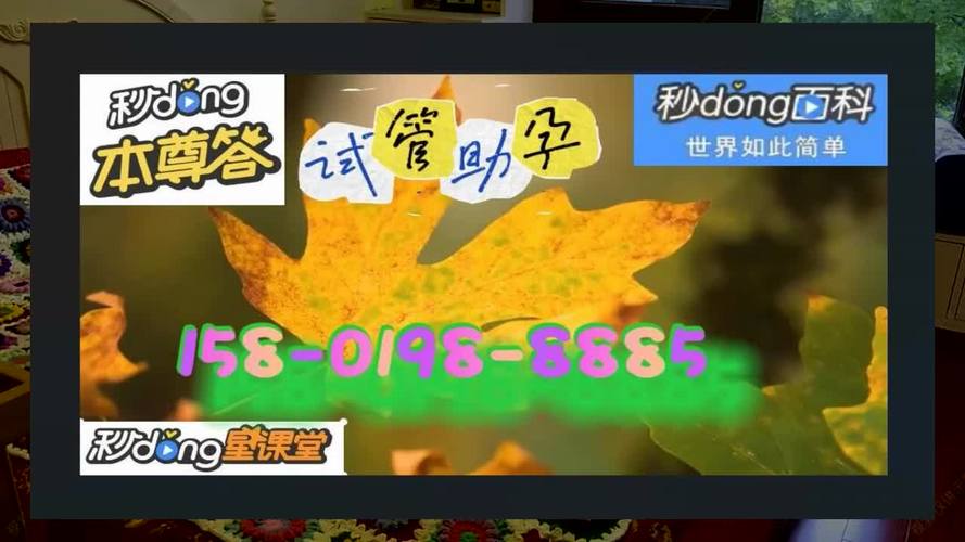 深圳供卵试管电话(深圳供卵试管电话咨询服务)